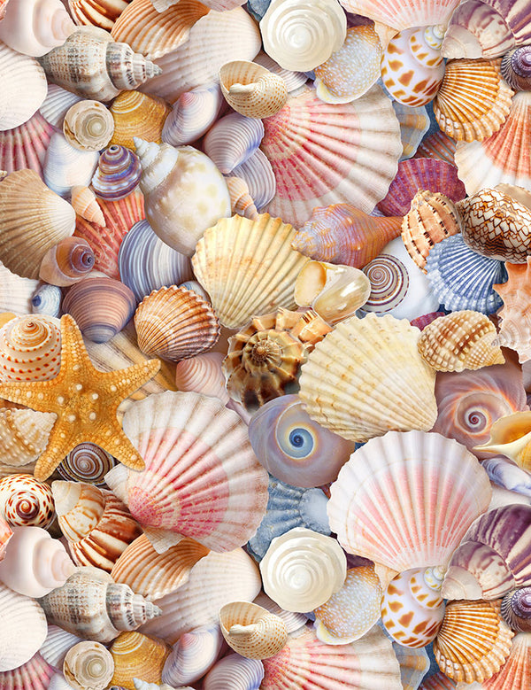Beach Day Multi Beach Shells BEACH-C8460-MULTI