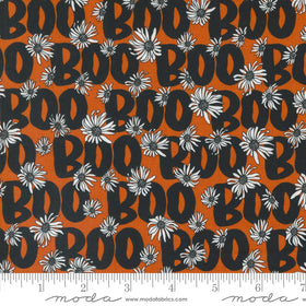 Noir Boo Pumpkin 11544-14