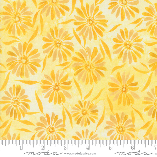 Sunshine & Blue Skies Sunshine Brightly Beaming Floral 39825 11