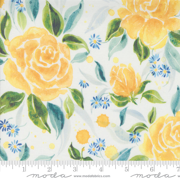Sunshine & Blue Skies Cloud Rose Upon Rows 39832 11