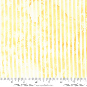 Sunshine & Blue Skies Sunshine Line Dance Stripes 39834 12