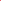 Love Blooms Rose Checkers Checks & Plaids 5224-12