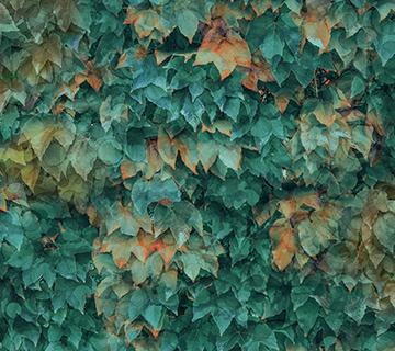Autumn Breeze Teal Layered Leaves DP28059-66 Teal