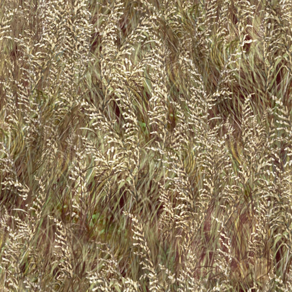 By The Peaceful Shore Neutral Beach Grass PNBPEAC-4216-NE - 71