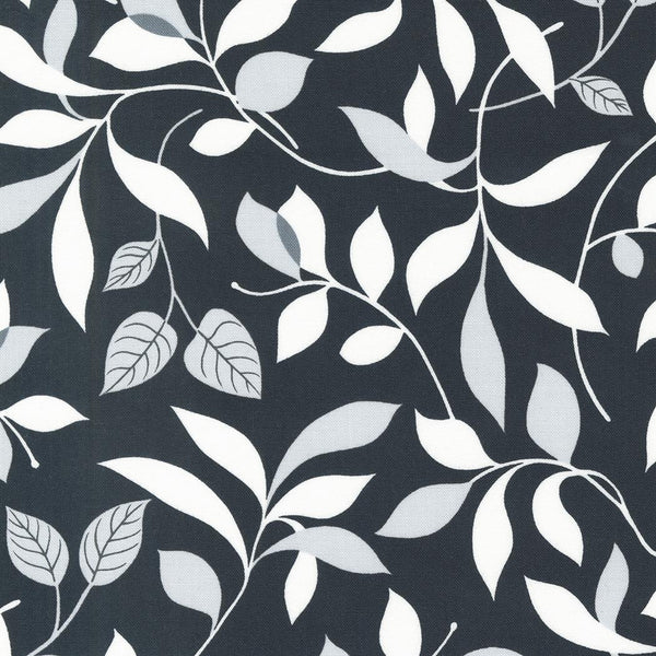 Concrete Jungle Asphalt Leaves 33723 16 Asphalt - 53