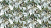 Lone Wolf Teal Wolf Scenic DP27183-64
