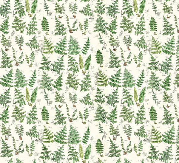 Eclectic Elements Palette Green Ferns PWTH265.GREEN