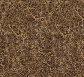 Eclectic Elements Palette Neutral Marble PWTH259.NEUTRAL