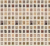 Eclectic Elements Palette Neutral Stamps PWTH251.NEUTRAL
