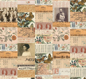 Eclectic Elements Palette Orange Collage PWTH230.ORANGE