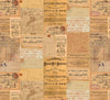 Eclectic Elements Palette Orange Ephemera PWTH235.ORANGE
