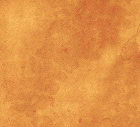 Eclectic Elements Palette Orange Vintage PWTH239.ORANGE