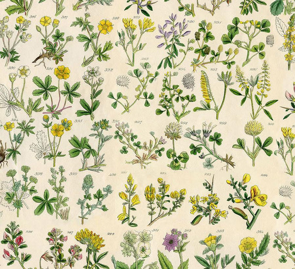Eclectic Elements Palette Yellow Botanical PWTH245.YELLOW