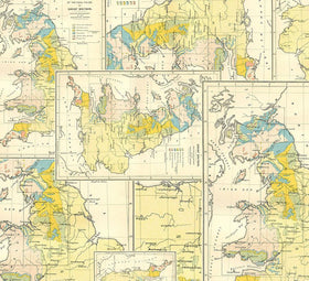 Eclectic Elements Palette Yellow Map PWTH243.YELLOW
