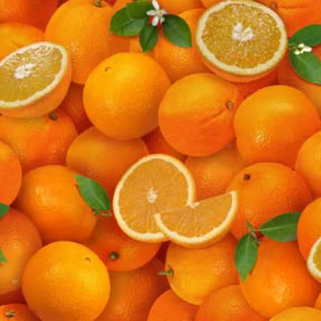 Food Festival Orange Oranges 261E-ORG - 89