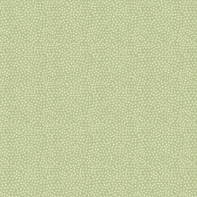 Jax Lime STELLA-1560-Lime - 95