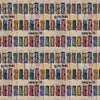Live Out Loud All the Colors Prism PWSE020.PRISM