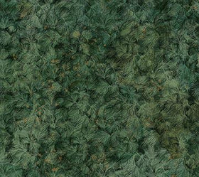 Lone Wolf Pine Texture DP27190-78 - 83