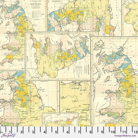 Eclectic Elements Palette Yellow Map PWTH243.YELLOW