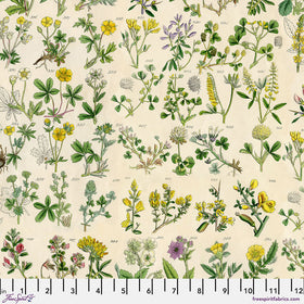 Eclectic Elements Palette Yellow Botanical PWTH245.YELLOW