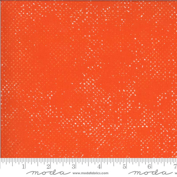Quotation Clementine Spotted 1660 138 - 47