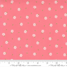 Sincerely Yours Flamingo Chamomile Floral 37614 15 - 76