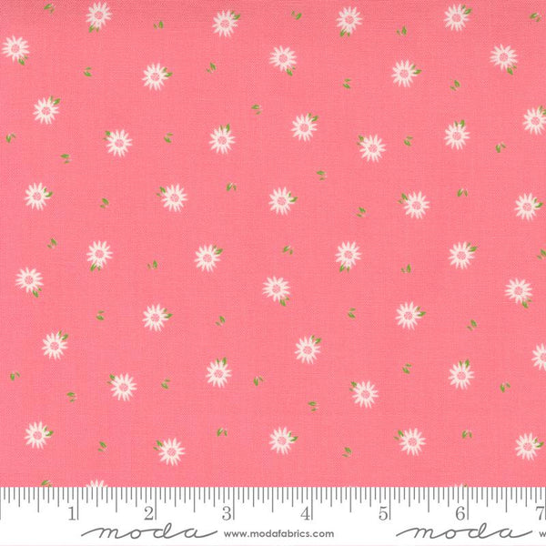 Sincerely Yours Flamingo Chamomile Floral 37614 15 - 76