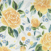 Sunshine & Blue Skies Cloud Rose Upon Rows 39832 11