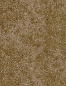 Tan Moondust Basic TEXTURE-C8760 TAN - 100