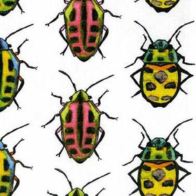 Flutter Bugs White CJ6445 - 78
