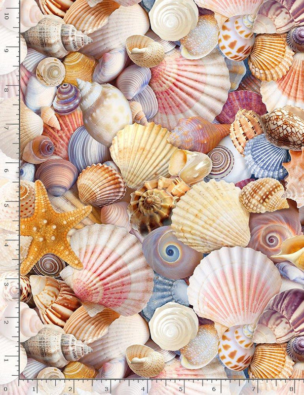 Beach Day Multi Beach Shells BEACH-C8460-MULTI
