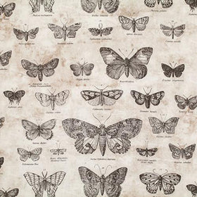 Eclectic Elements Taupe Butterflies  PWTH004.TAUPE