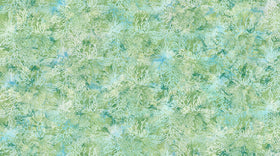 Whale Song Coral Light Green DP24984-72
